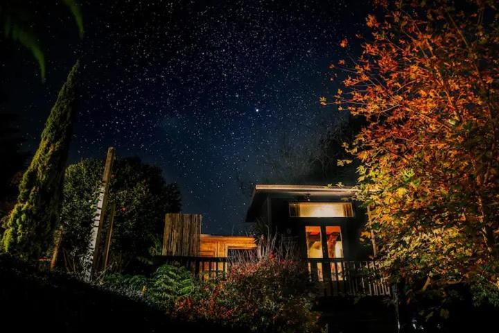 Starry Nights Cabin Fever Waikino Экстерьер фото