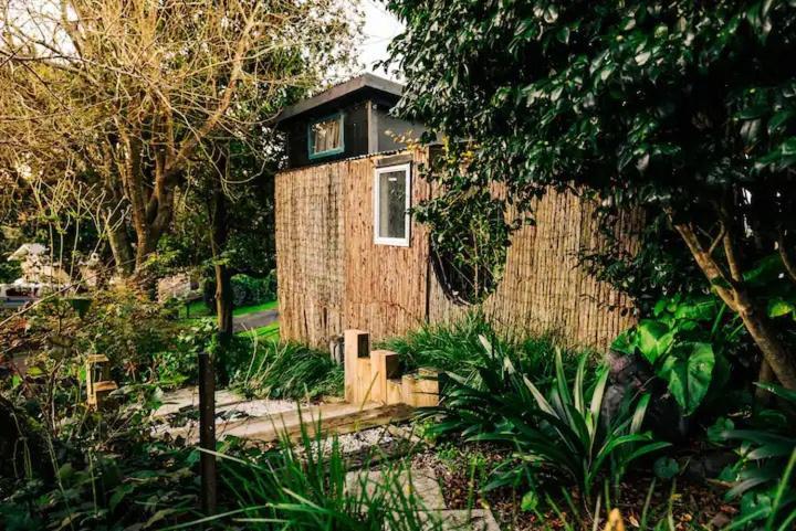 Starry Nights Cabin Fever Waikino Экстерьер фото