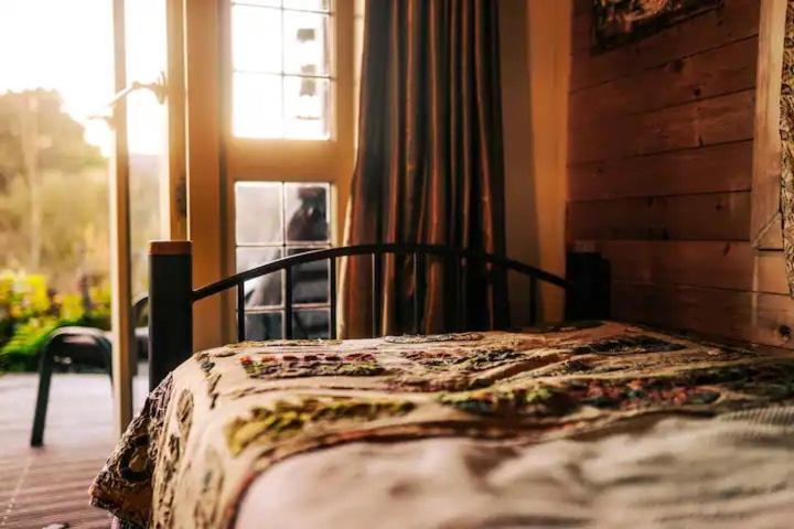 Starry Nights Cabin Fever Waikino Экстерьер фото