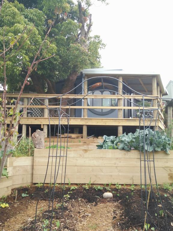 Starry Nights Cabin Fever Waikino Экстерьер фото